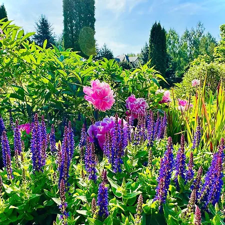 Gackowo アパート オストルダ