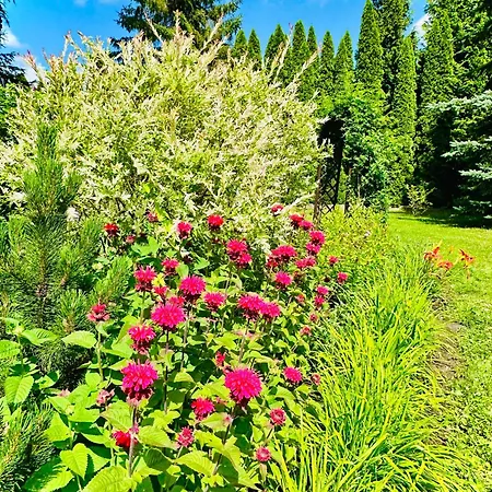 Gackowo Apartmán Ostróda