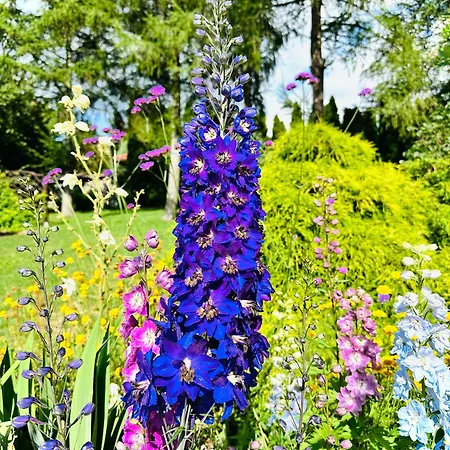 アパート Gackowo オストルダ