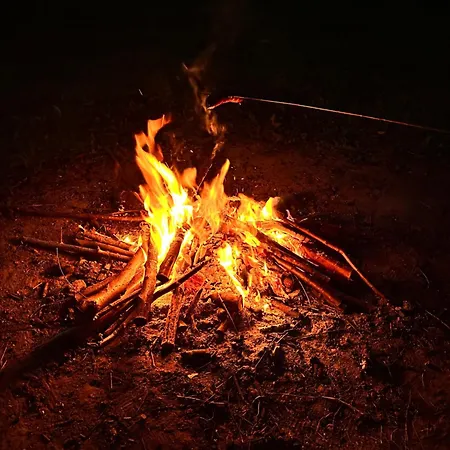 Gackowo アパート