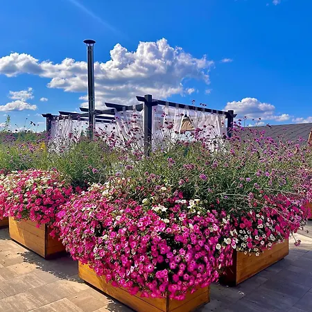 Gackowo オストルダ