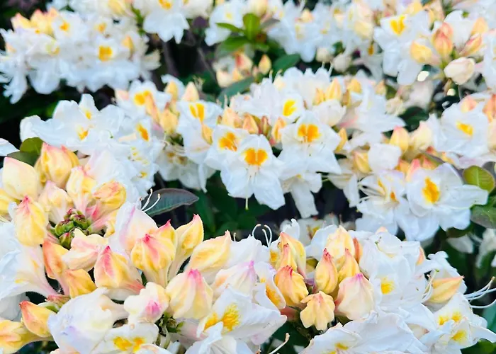 Gackowo Apartmán Ostróda