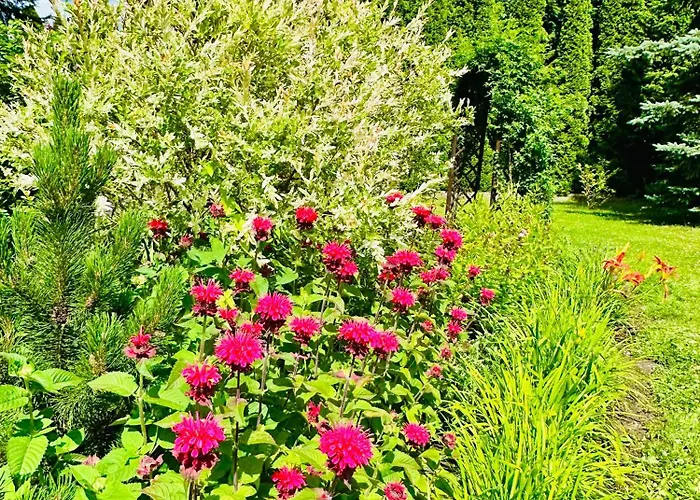 Gackowo Apartmán Ostróda