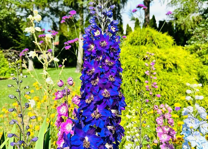 Apartmán Gackowo Ostróda
